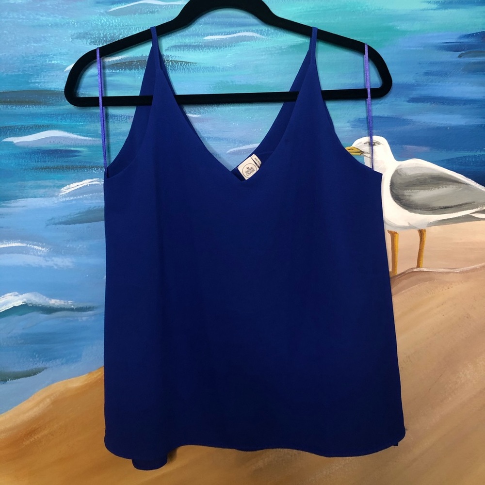 royal blue blouse